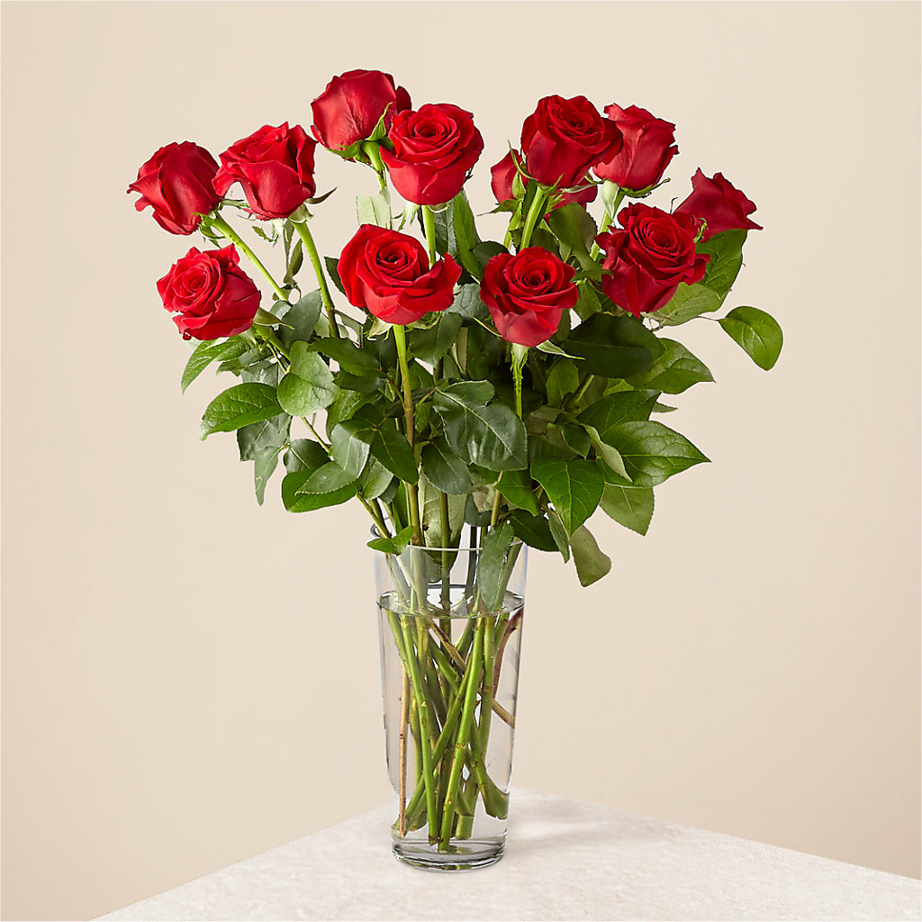 ECOM-Long Stem Red Rose Bouquet