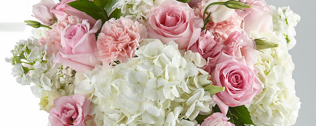 testmolcollection2024