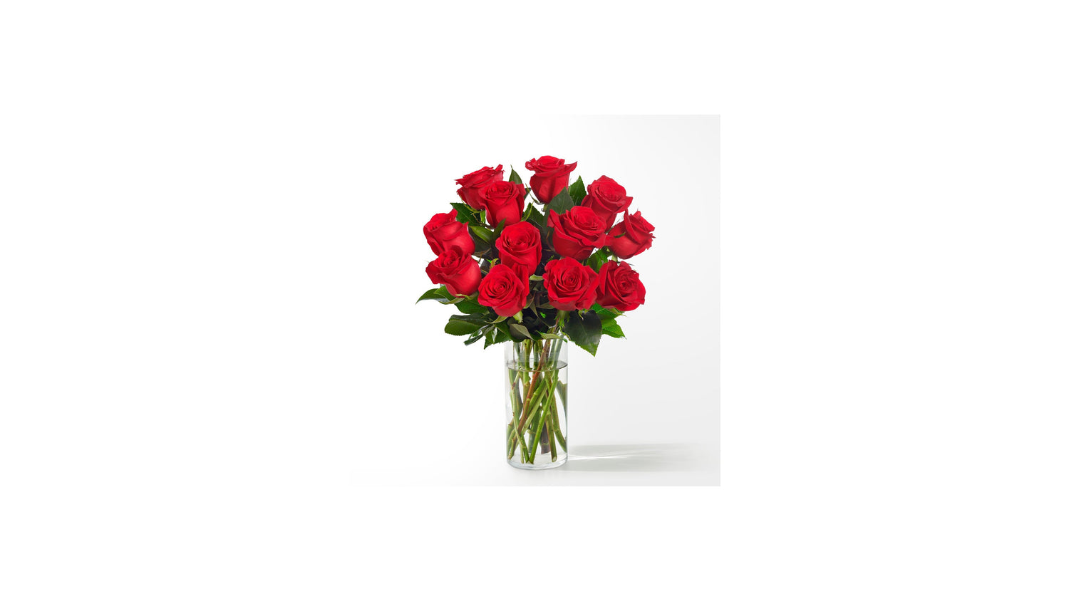 TESTMOL0802