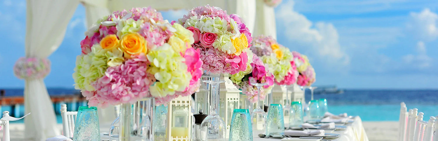 Automation Testt4 220925 Collection