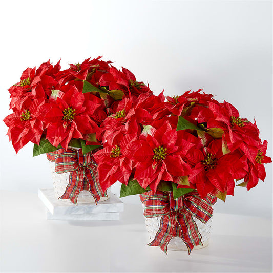 Ensemble de poinsettias des fêtes les plus heureuses