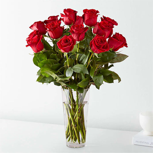 imagetestproduct